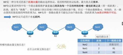 網(wǎng)絡(luò)層技術(shù)咨詢 原理、應(yīng)用與發(fā)展